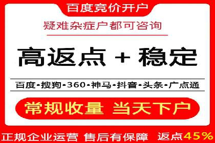 深度解析：百度竞价广告的投放效果与ROI